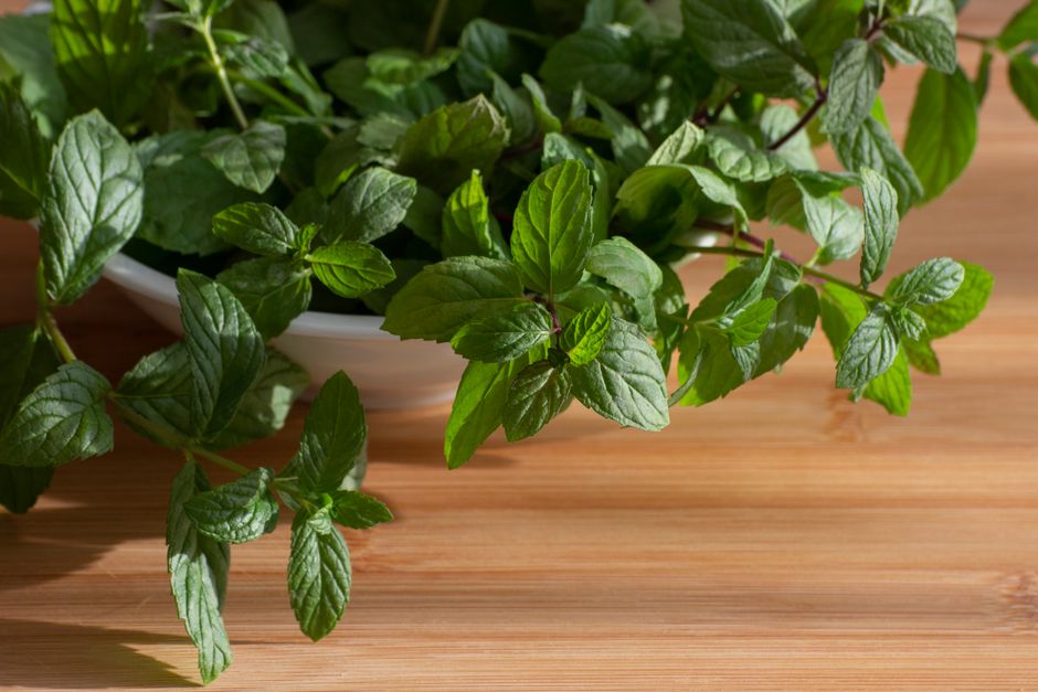Mäta a medovka: dve bylinky, dva úplne iné sirupy